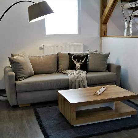 Appartamento Fuchsbau Mit Dampfdusche #kamin#innenstadtnaehe#netflix Von Harztraveler *