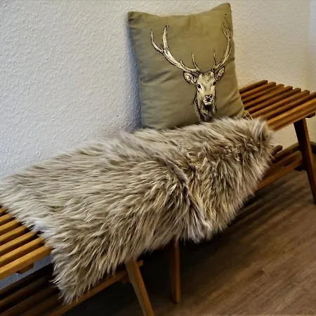 Fuchsbau Mit Dampfdusche #kamin#innenstadtnaehe#netflix Von Harztraveler Bad Harzburg