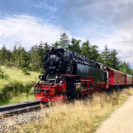 Fuchsbau Mit Dampfdusche #kamin#innenstadtnaehe#netflix Von Harztraveler Lejlighed Bad Harzburg