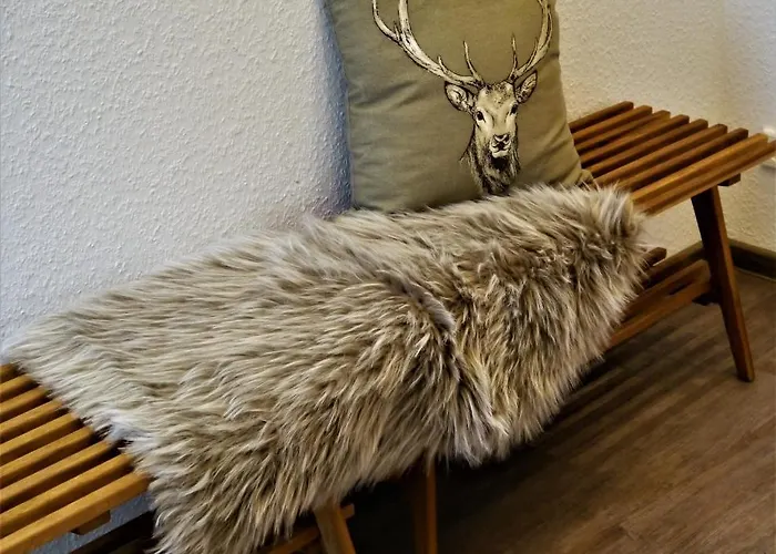 Fuchsbau Mit Dampfdusche #kamin#innenstadtnaehe#netflix Von Harztraveler Bad Harzburg