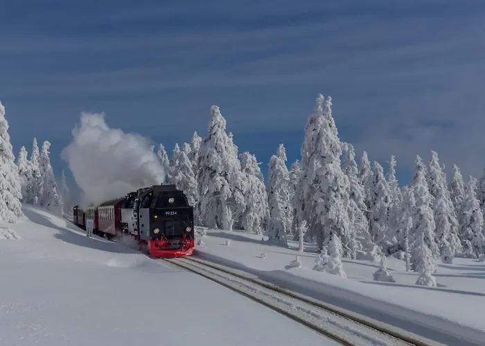 Fuchsbau Mit Dampfdusche #kamin#innenstadtnaehe#netflix Von Harztraveler Apartamento